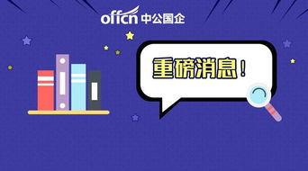 月薪3000-6000元加績效，無筆試計(jì)算機(jī)軟硬件開發(fā)崗位解析