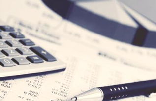 強(qiáng)化信息技術(shù) 提升管理會(huì)計(jì)效能 信息技術(shù)咨詢(xún)服務(wù)的關(guān)鍵作用